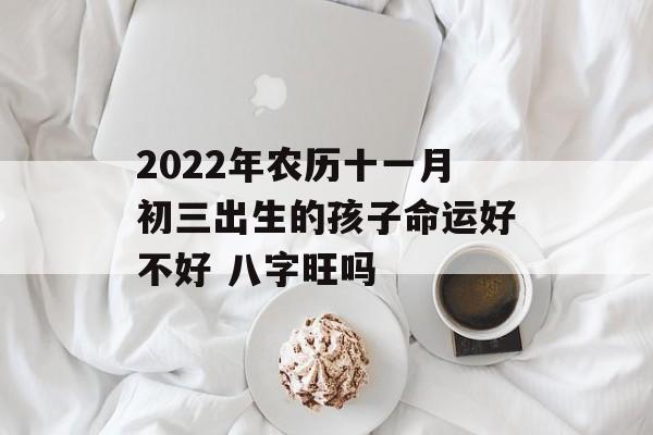 2024年农历十一月初三出生的孩子命运好不好 八字旺吗