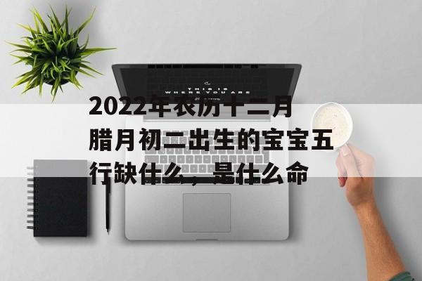 2024年农历十二月腊月初二出生的宝宝五行缺什么，是什么命