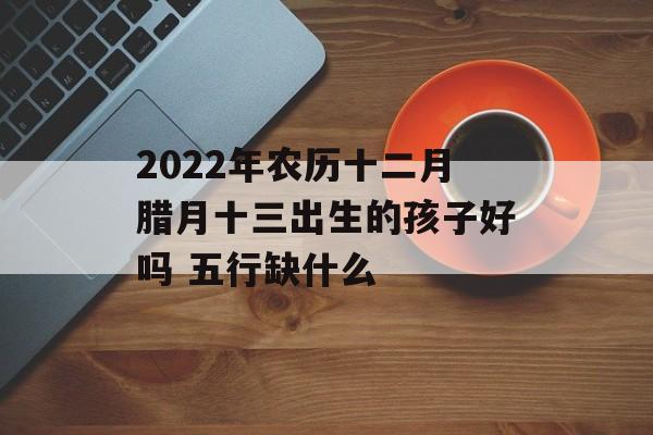 2024年农历十二月腊月十三出生的孩子好吗 五行缺什么