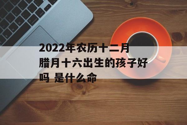 2024年农历十二月腊月十六出生的孩子好吗 是什么命