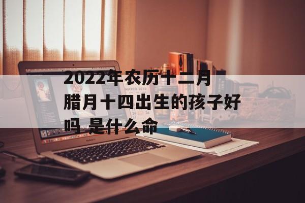 2024年农历十二月腊月十四出生的孩子好吗 是什么命