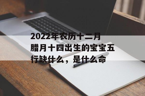 2024年农历十二月腊月十四出生的宝宝五行缺什么，是什么命