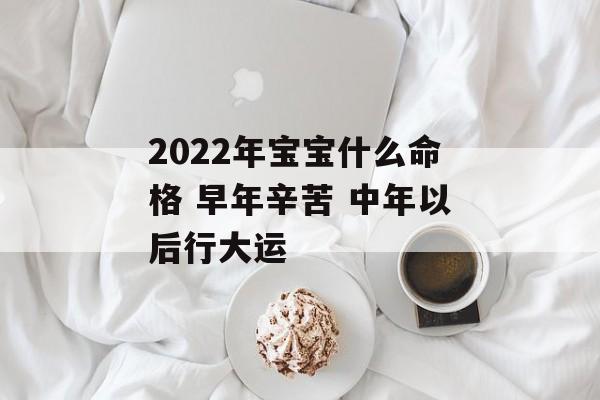 2024年宝宝什么命格 早年辛苦 中年以后行大运