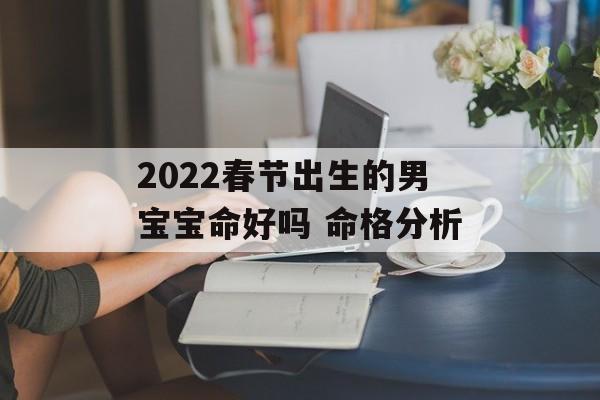 2024春节出生的男宝宝命好吗 命格分析