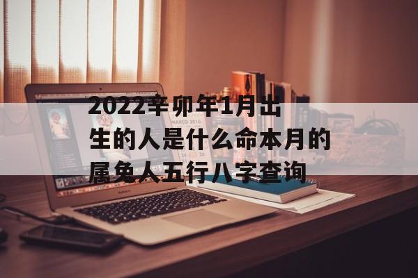 2024辛卯年1月出生的人是什么命本月的属兔人五行八字查询