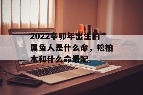 2024辛卯年出生的属兔人是什么命，松柏木和什么命最配