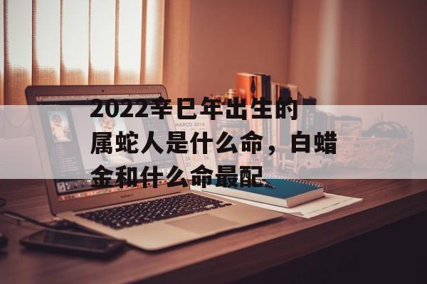 2024辛巳年出生的属蛇人是什么命，白蜡金和什么命最配