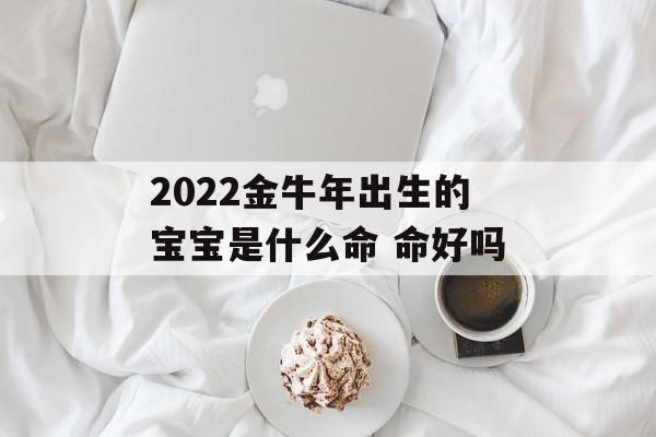 2024金牛年出生的宝宝是什么命 命好吗