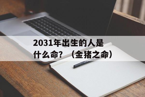 2031年出生的人是什么命？（金猪之命）