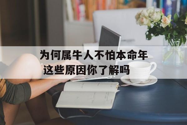 为何属牛人不怕本命年 这些原因你了解吗