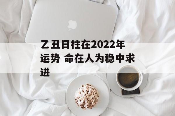 乙丑日柱在2024年运势 命在人为稳中求进