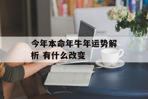 今年本命年牛年运势解析 有什么改变