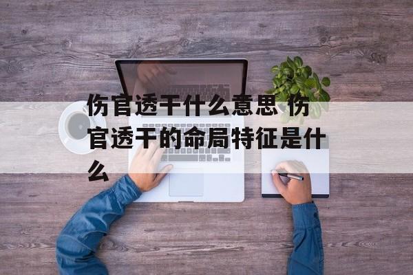 伤官透干什么意思 伤官透干的命局特征是什么