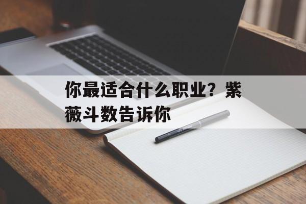 你最适合什么职业？紫薇斗数告诉你