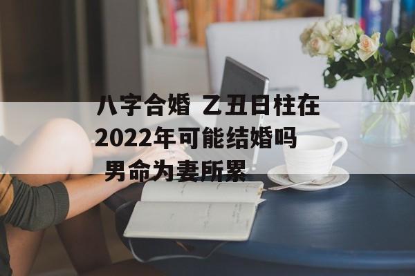 八字合婚 乙丑日柱在2024年可能结婚吗 男命为妻所累