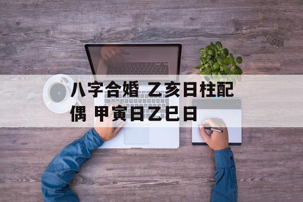 八字合婚 乙亥日柱配偶 甲寅日乙巳日