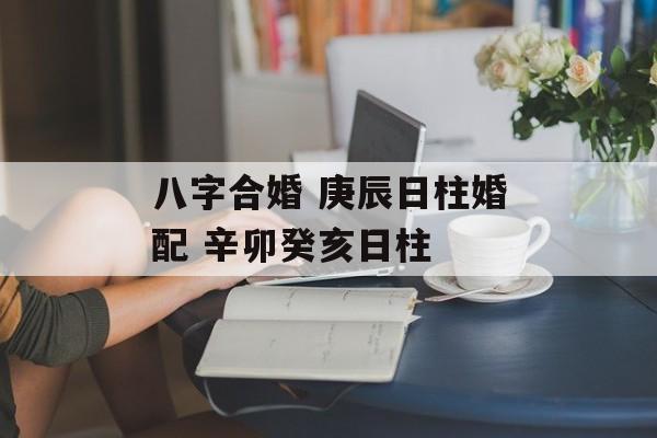 八字合婚 庚辰日柱婚配 辛卯癸亥日柱