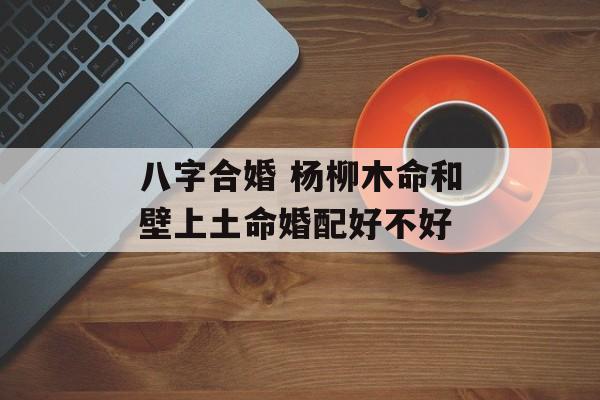 八字合婚 杨柳木命和壁上土命婚配好不好