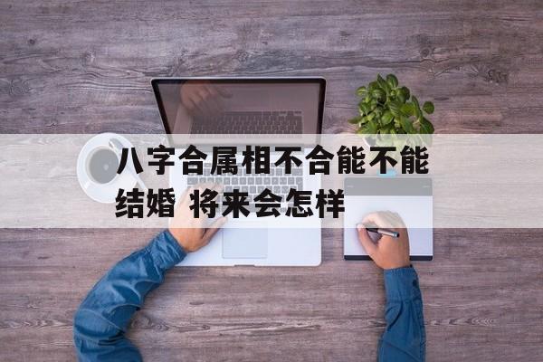 八字合属相不合能不能结婚 将来会怎样