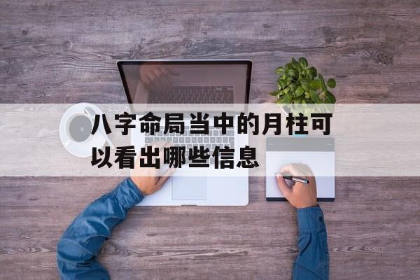 八字命局当中的月柱可以看出哪些信息