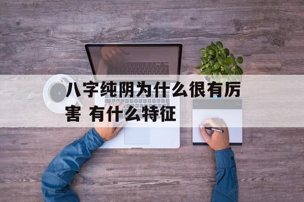 八字纯阴为什么很有厉害 有什么特征