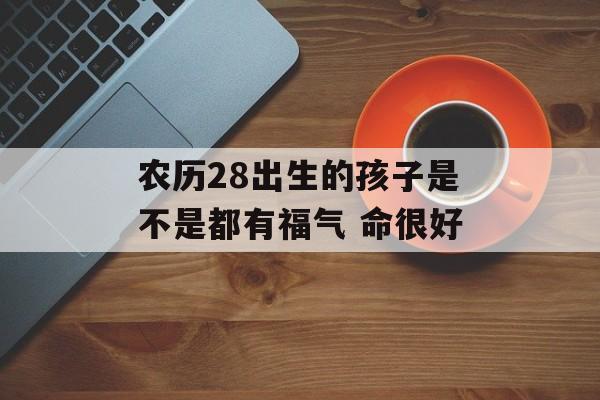 农历28出生的孩子是不是都有福气 命很好