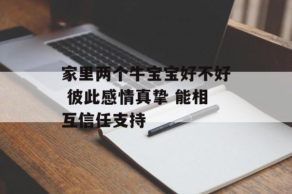 家里两个牛宝宝好不好 彼此感情真挚 能相互信任支持