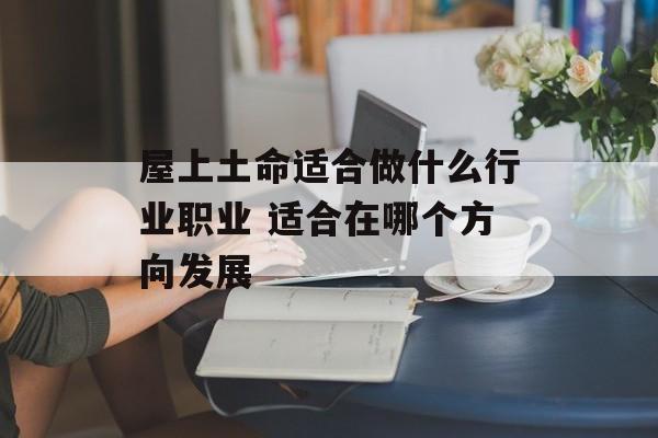 屋上土命适合做什么行业职业 适合在哪个方向发展