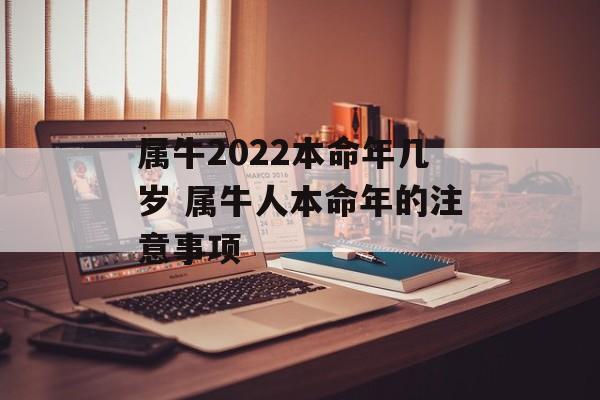 属牛2024本命年几岁 属牛人本命年的注意事项