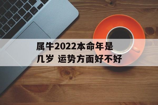 属牛2024本命年是几岁 运势方面好不好