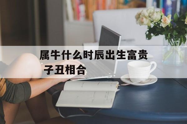 属牛什么时辰出生富贵 子丑相合