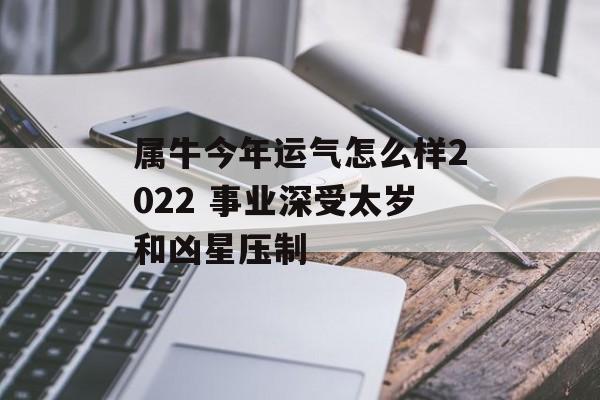 属牛今年运气怎么样2024 事业深受太岁和凶星压制