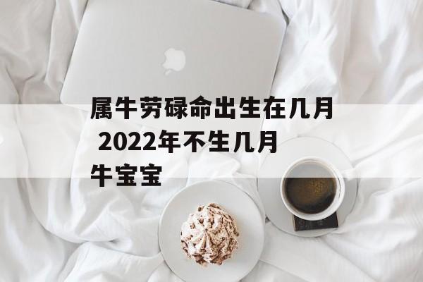 属牛劳碌命出生在几月 2024年不生几月牛宝宝