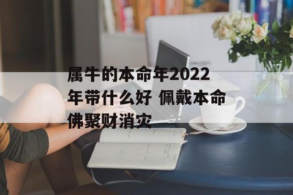 属牛的本命年2024年带什么好 佩戴本命佛聚财消灾