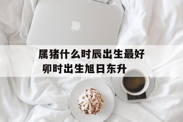 属猪什么时辰出生最好 卯时出生旭日东升