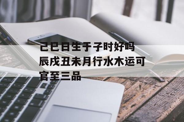 己巳日生于子时好吗 辰戌丑未月行水木运可官至三品