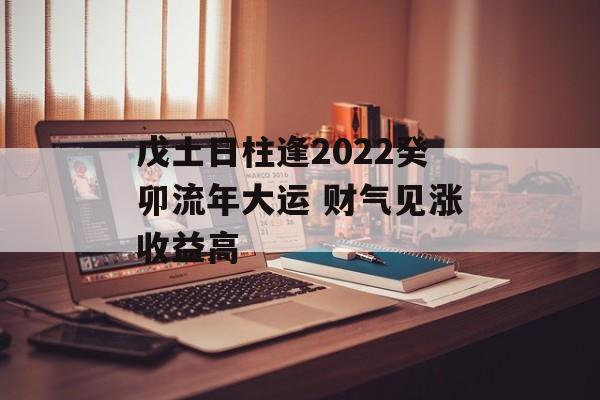 戊土日柱逢2024癸卯流年大运 财气见涨收益高