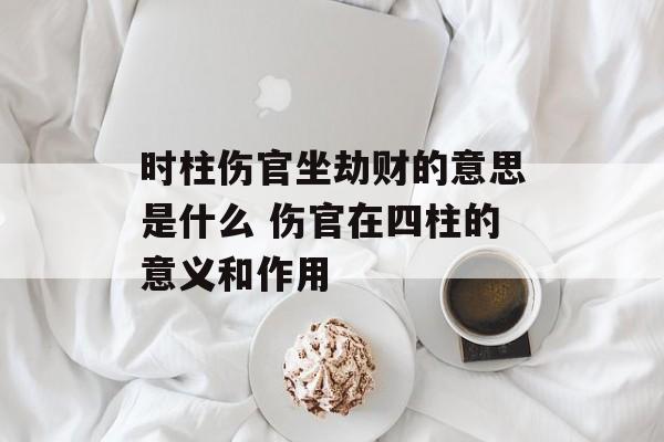 时柱伤官坐劫财的意思是什么 伤官在四柱的意义和作用