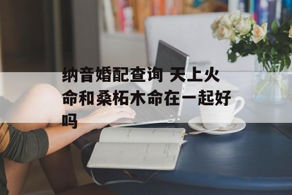 纳音婚配查询 天上火命和桑柘木命在一起好吗