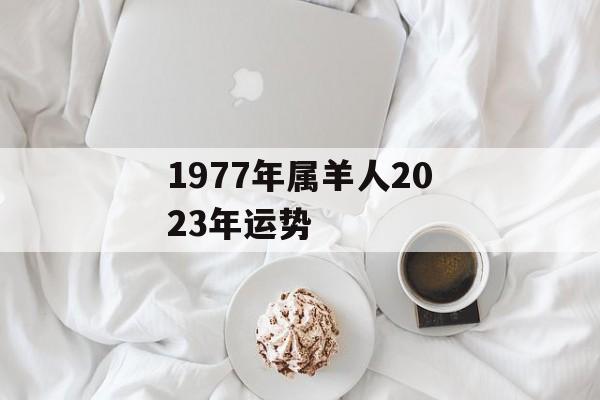 1977年属羊人2024年运势