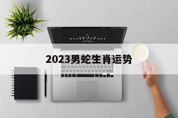 2024男蛇生肖运势