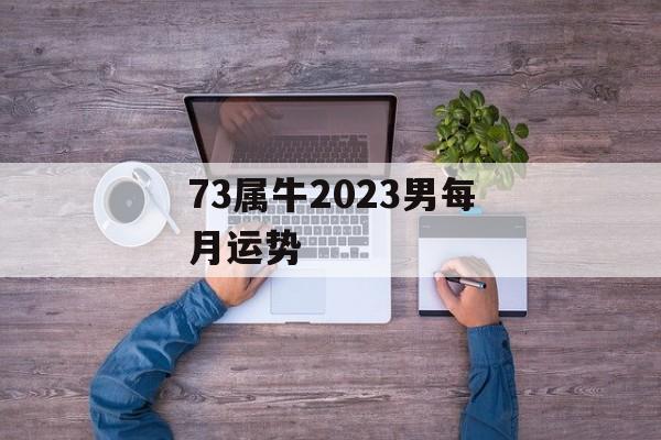 73属牛2024男每月运势