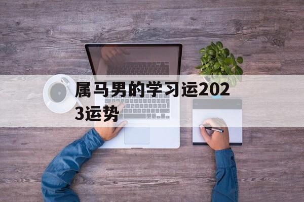 属马男的学习运2024运势