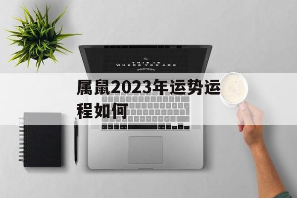 属鼠2024年运势运程如何