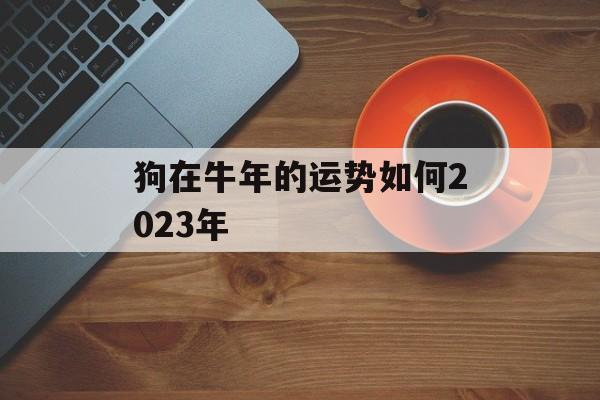 狗在牛年的运势如何2024年