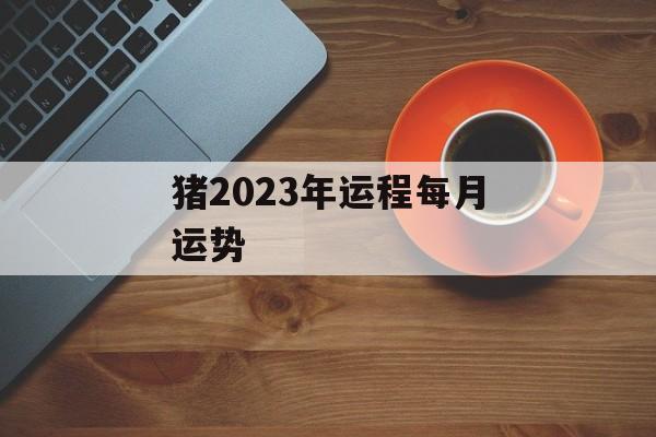 猪2024年运程每月运势