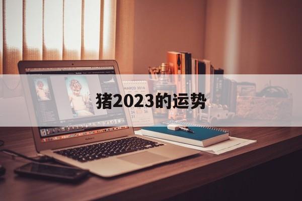 猪2024的运势