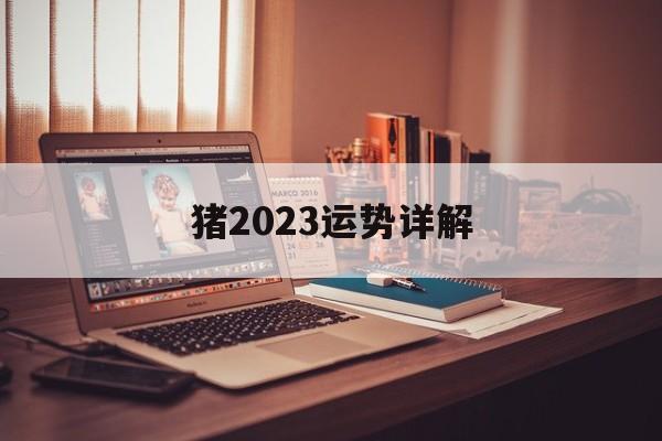 猪2024运势详解