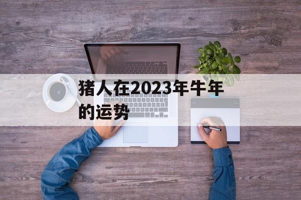 猪人在2024年牛年的运势