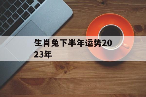 生肖兔下半年运势2024年